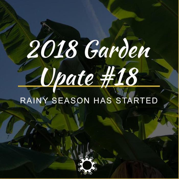 2018 Garden Update #18: Rainy Season Has Started