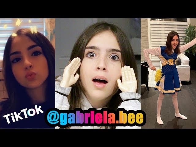 Miss Bee Tik Tok Gabriela Bee and Eh Bee Family Compilation