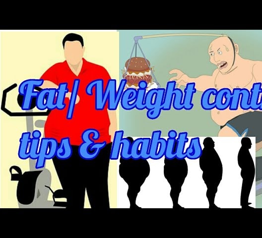 Weight/fat control tips & habits
