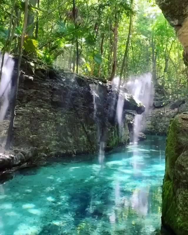 How breathtaking is that! Translucent river in cancun Mexico