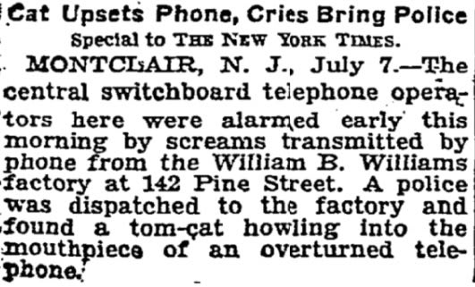 In 1932, a telephone operator was disturbed by screams transmitted by the phone from the William B. Williams factory. When police were dispatched to the scene, they found a cat howling into the mouthpiece of an overturned telephone.