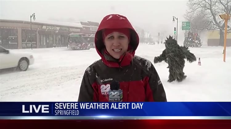 A 'Pot Sasquatch' Covered in Marijuana Leaves Crashes a Live News Report During a Snowstorm