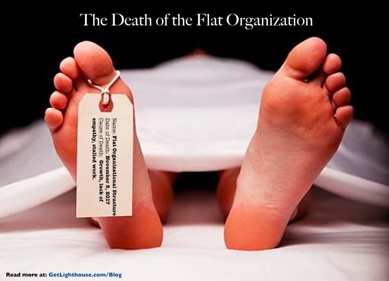 Nails in the Coffin: Why a Flat Organizational Structure Fails