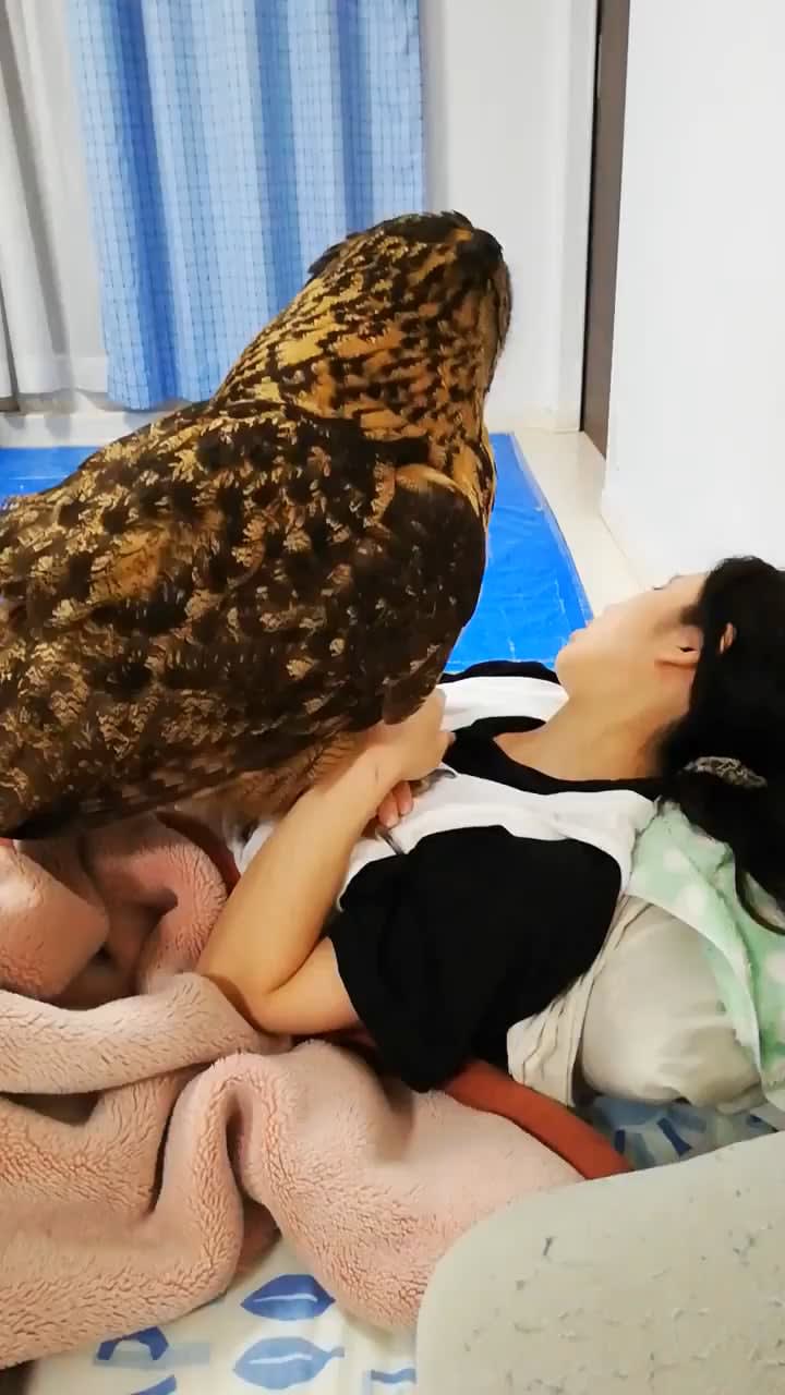 Owl wants mommy's love and attention