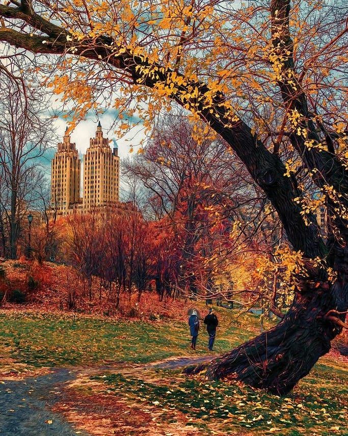 Ben Bradbury on Instagram: “ Central Park. New York City. #usa . #octoberwings #Beautifulplacesthatlookma… | Autumn in new york, Autumn scenes, Autumn scenery