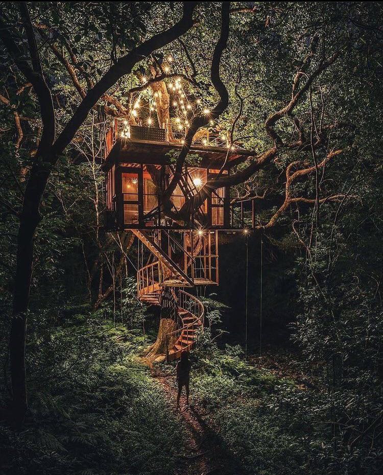 Now this is what you call a treehouse