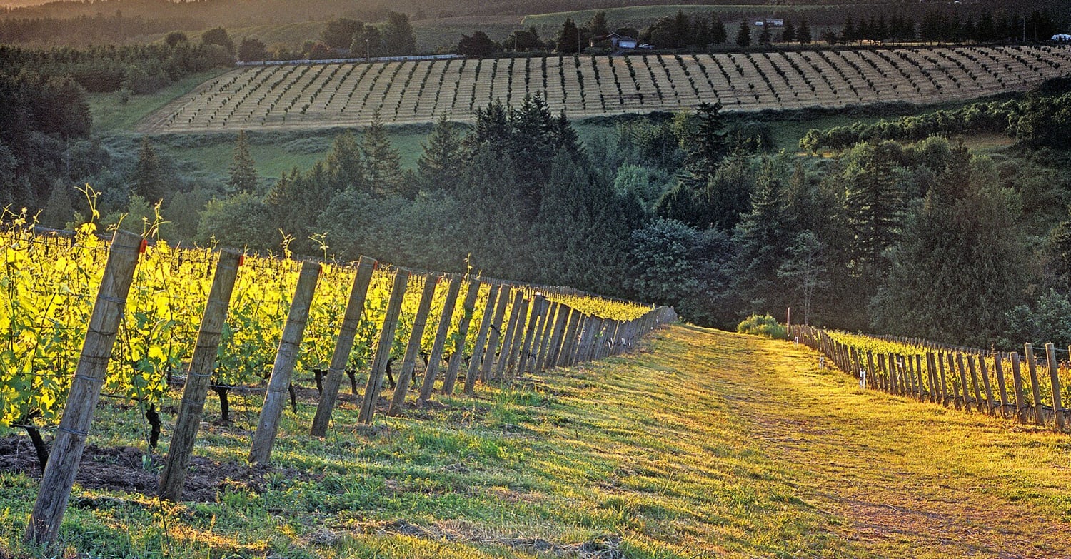Oregon's Willamette Valley Designates Two New Wine-Growing Regions