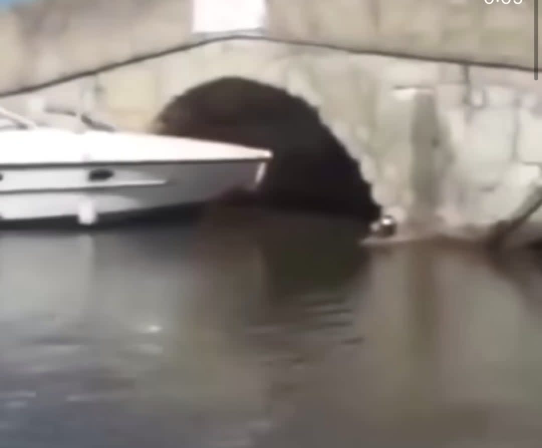 WCGW driving through a small tunnel