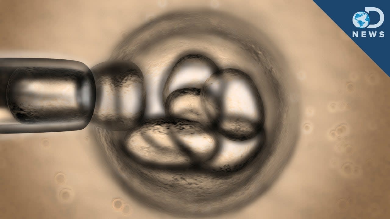First Cloned Human Embryos Yield Stem Cells
