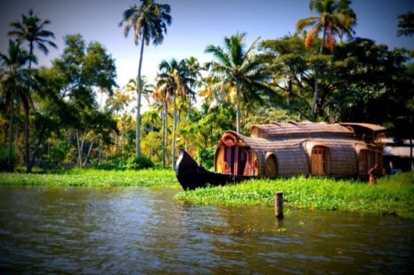 Should Kerala Be Your Next Vacation or Staycation?