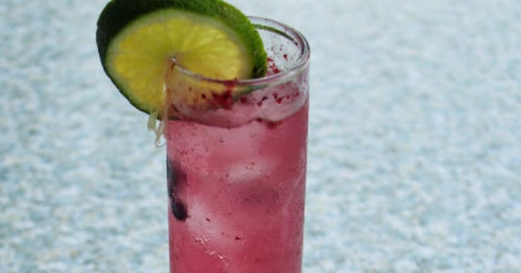 Wild Blueberry Gin Fizzers