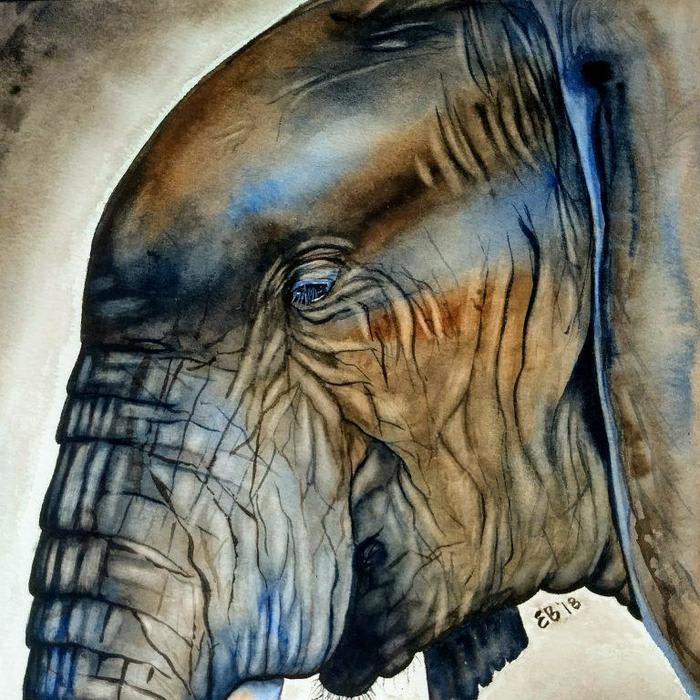 Watercolor Wednesday: Using a YouTube Tutorial to Paint an Elephant