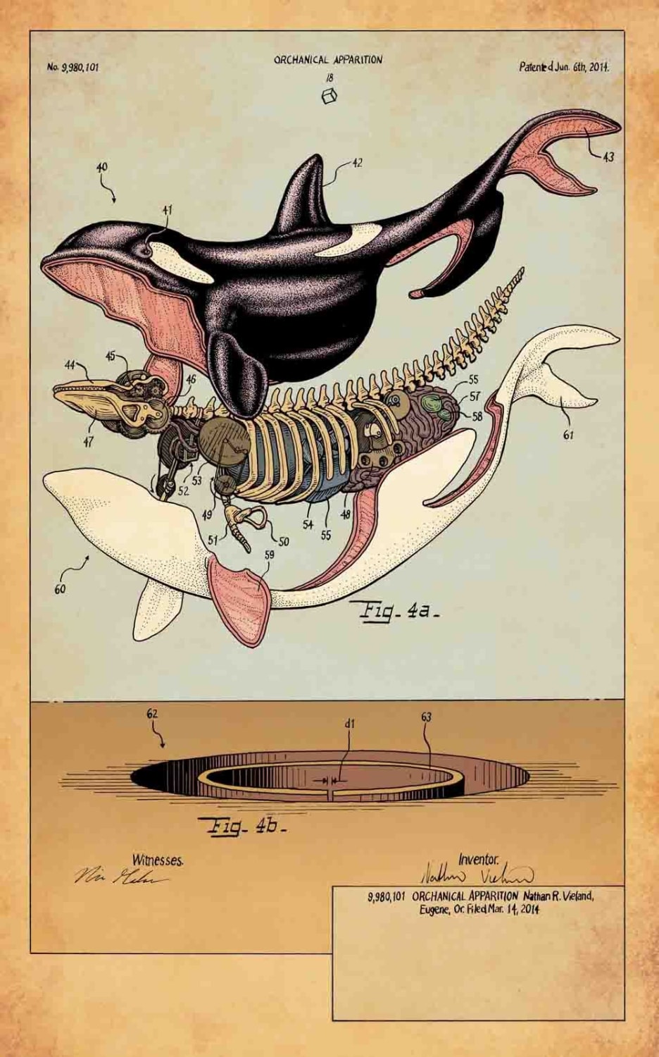 Scientific Illustration