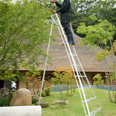 Alternative Design for Tall Ladders: The Hasegawa Tripod Ladder