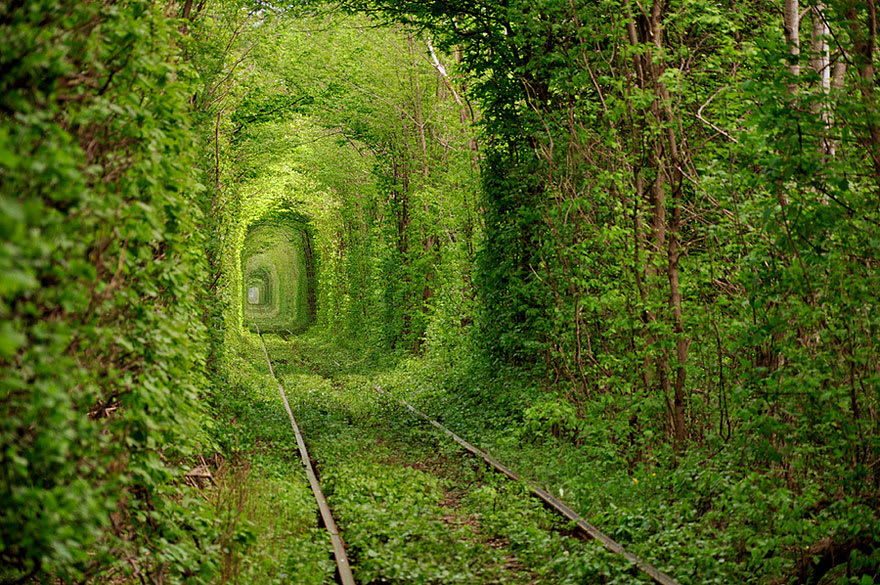 The Tunnel of Love is a section of industrial railway located near Klevan, Ukraine, that links it with Orzhiv. It is a railway surrounded by green arches and is three to five kilometers in length. It is known for being a favorite place for couples to take walks. So Beautiful to see..