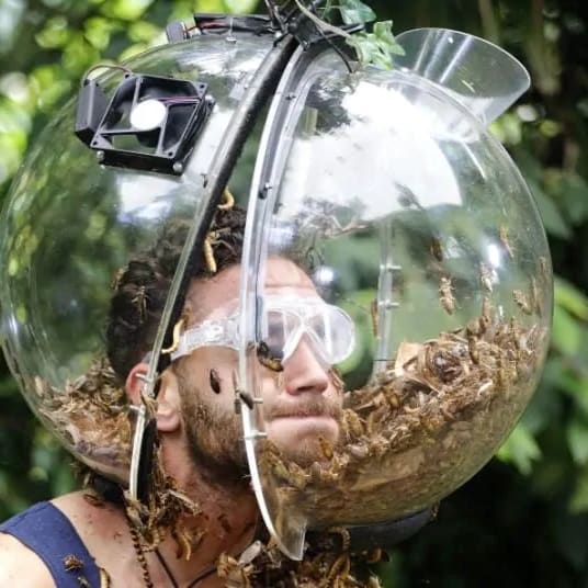 Do insects feel pain? It doesn't matter – I'm a Celebrity... Get Me Out of Here is cruel, undignified entertainment