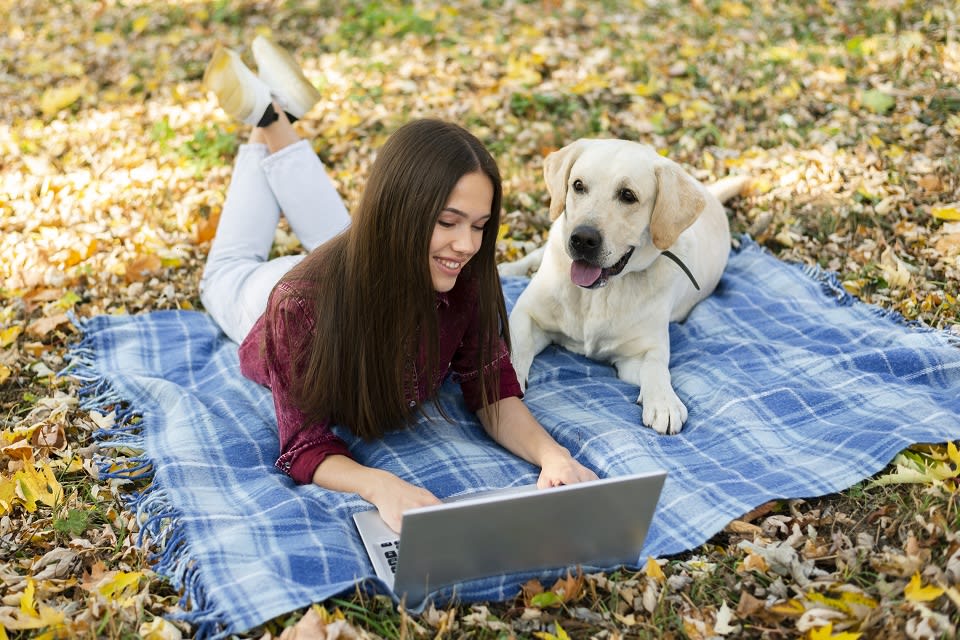 HENLO FREN! This Is How Dogs Talk Online | Search Gateway Blogs