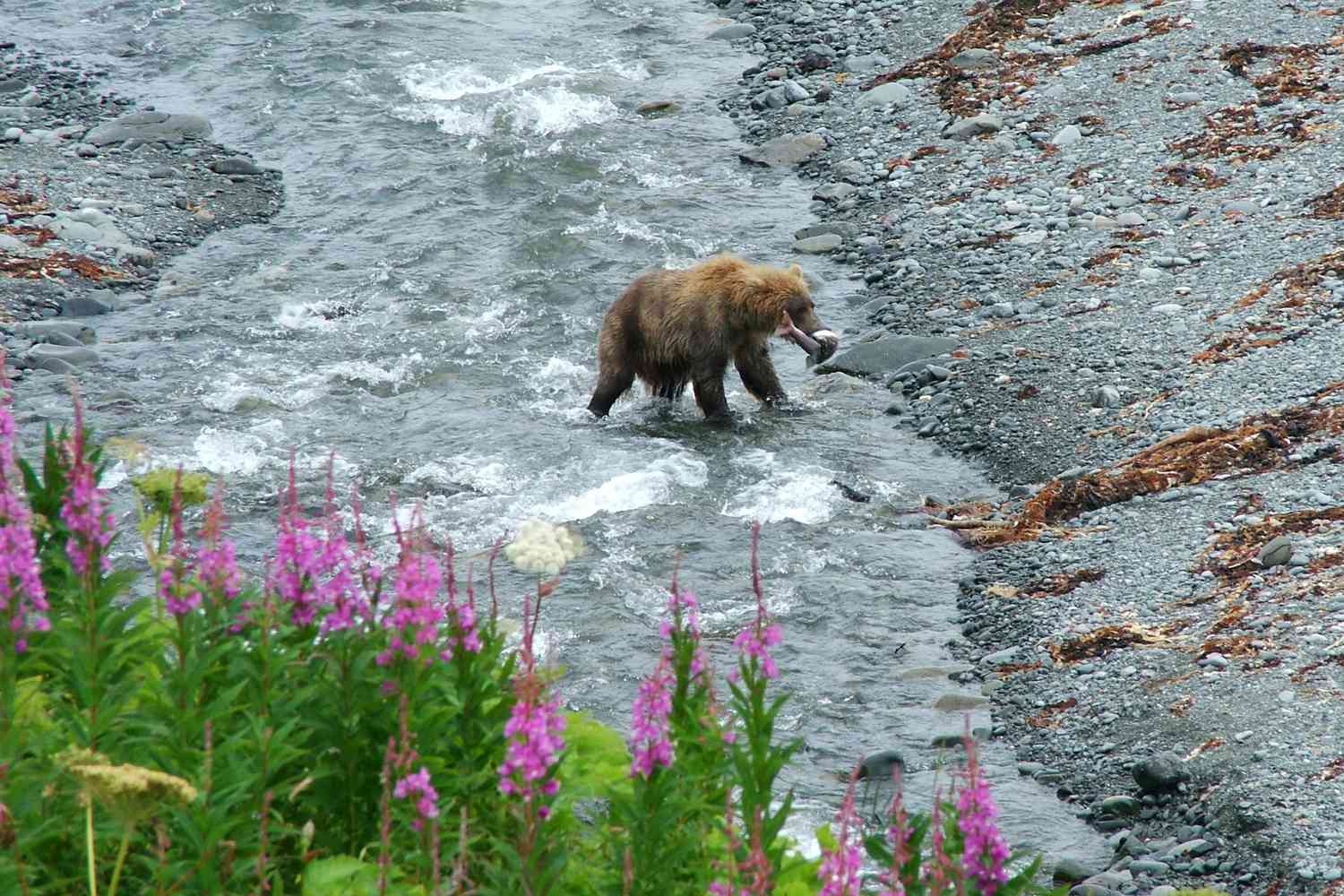 7 Under-the-radar Alaskan National Parks With Wild Scenery and Incredible Adventures