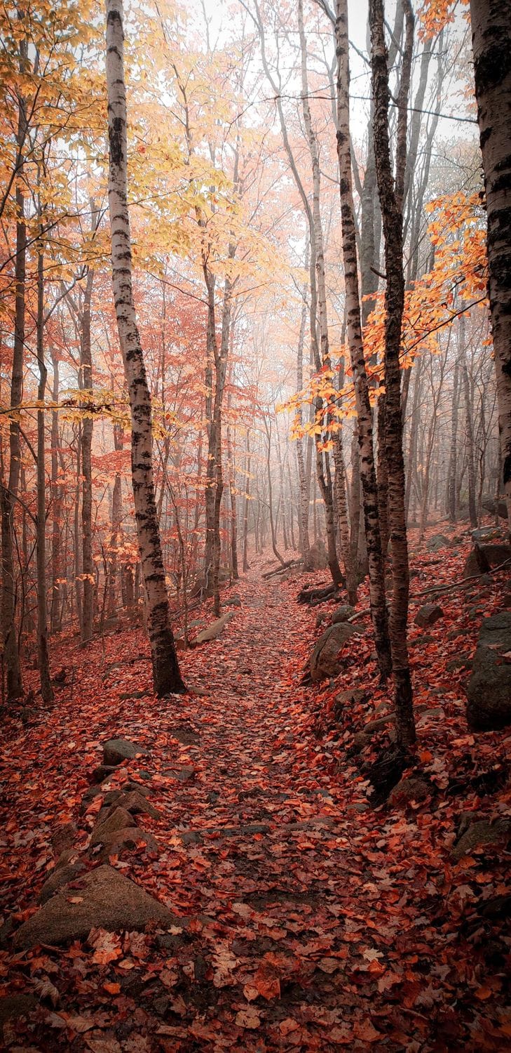 The Beehive Trail, Acadia National Park, Maine | source