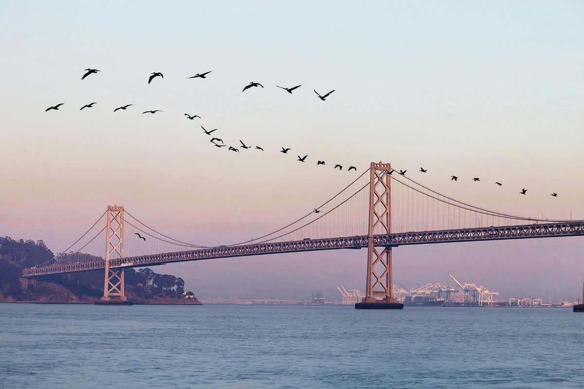 2 Days in San Francisco Itinerary - Best Photography Spots