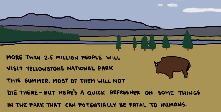 Things In Yellowstone That Can F**king Kill You - semi-rad.com