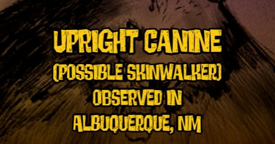 Upright Canine (Possible Skinwalker) Observed in Albuquerque, NM