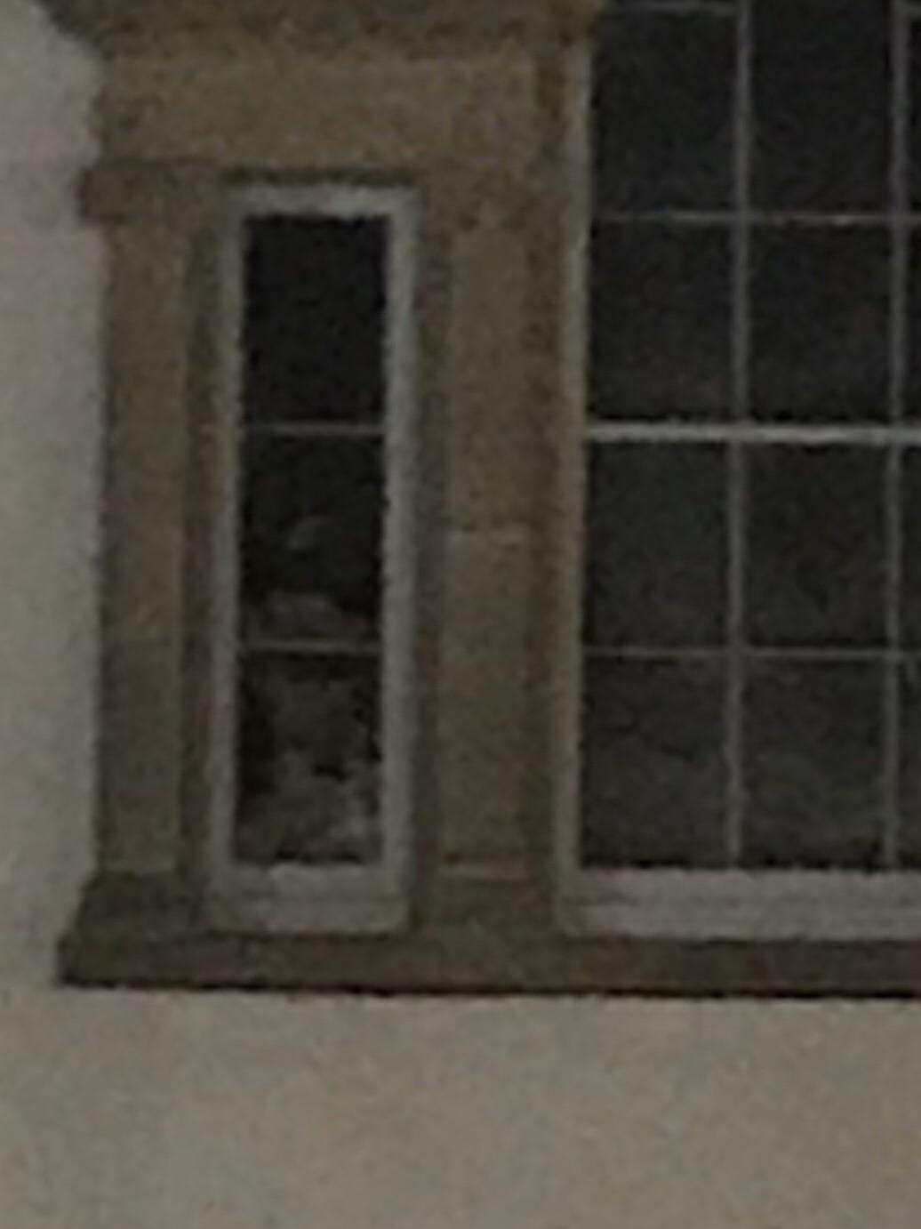 In Charleston South Carolina I was on a ghost tour, we where standing in the court yard where serial killer Lavinia fisher was hanged. I saw something peeping at us through the town hall window, this is what I caught.