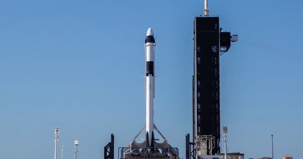 SpaceX Crew Dragon: watch the Falcon 9 reach the launchpad in style