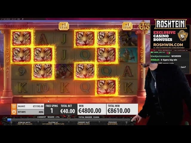 Tigers Glory BIG WIN Bonus Game in Online Casino - 10230.00 EUR