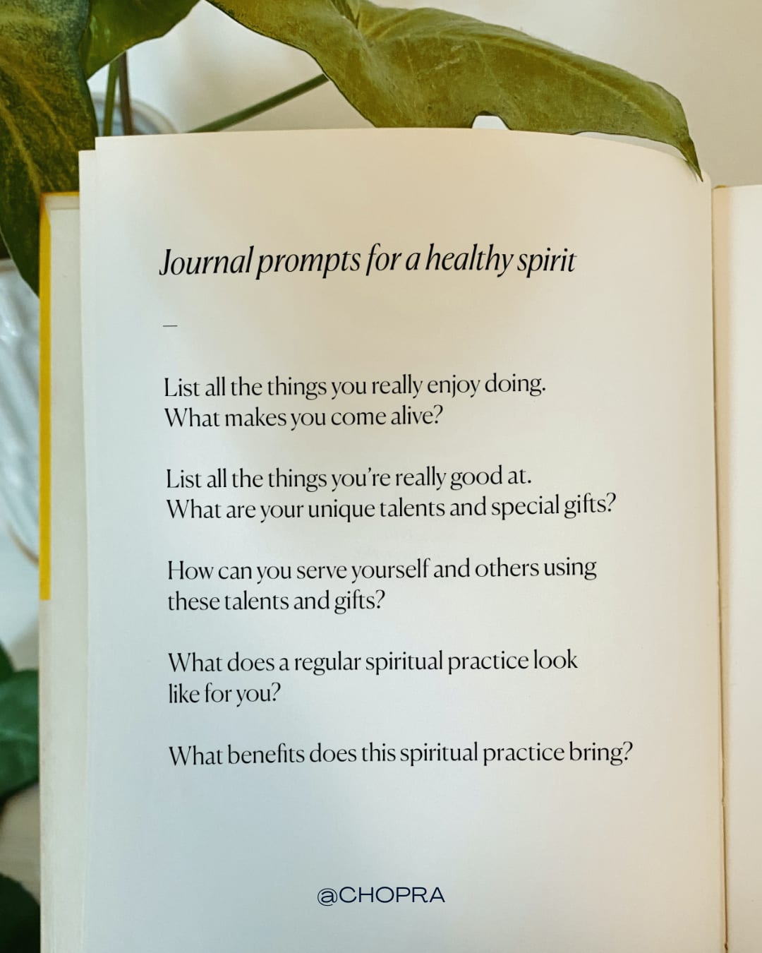 nourish-your-spirit