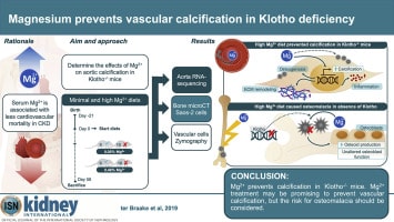 Magnesium prevents vascular calcification in Klotho deficiency