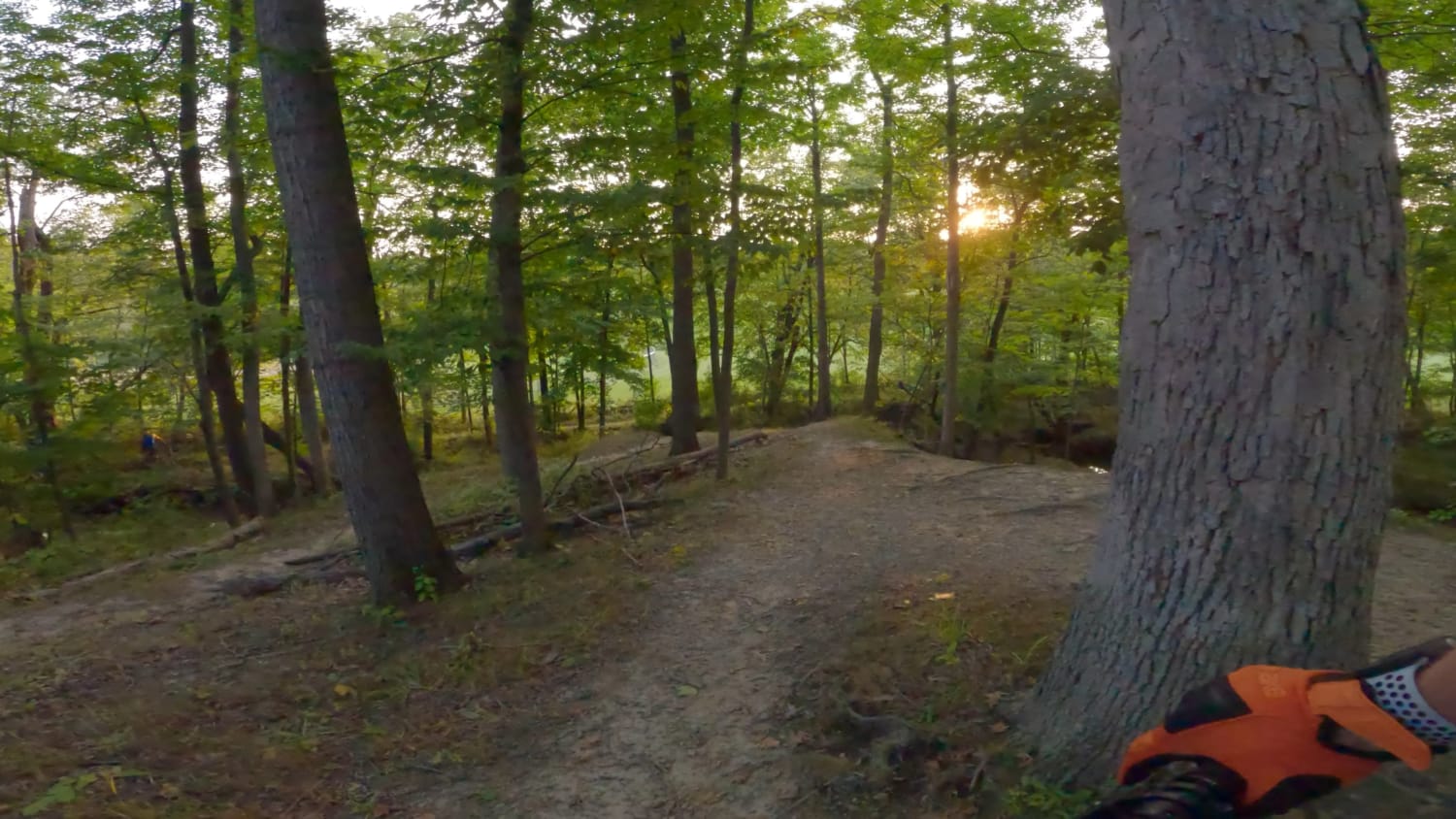 GoPro 11 low light MTB test (45 minutes from sunset)