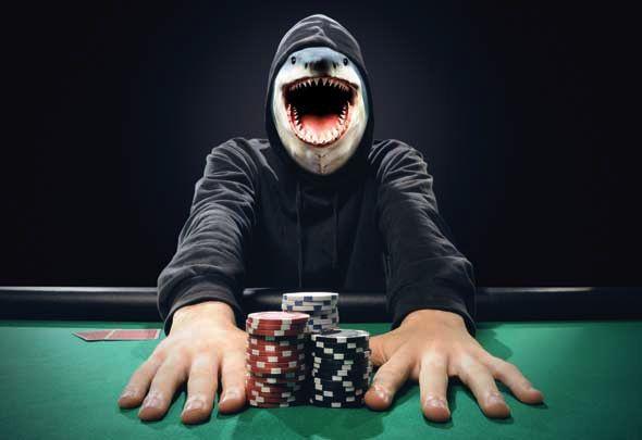 Poker Fish vs Poker Shark - Who are you in a Poker game?
