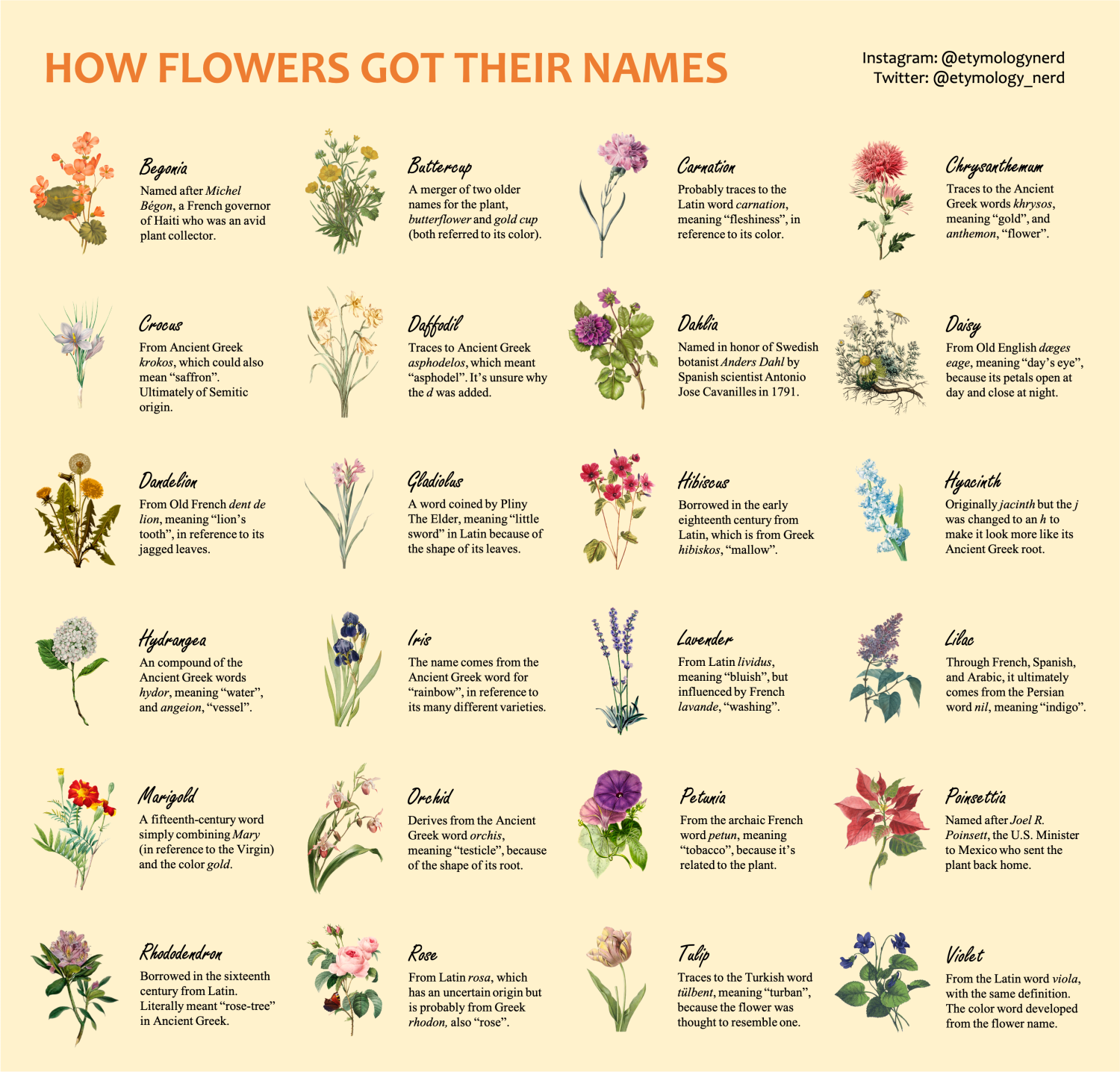 I made a guide explaining how flowers got their names!