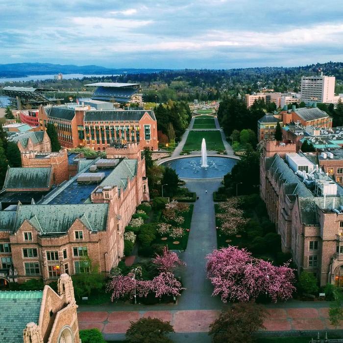 These are the 10 best universities in the world