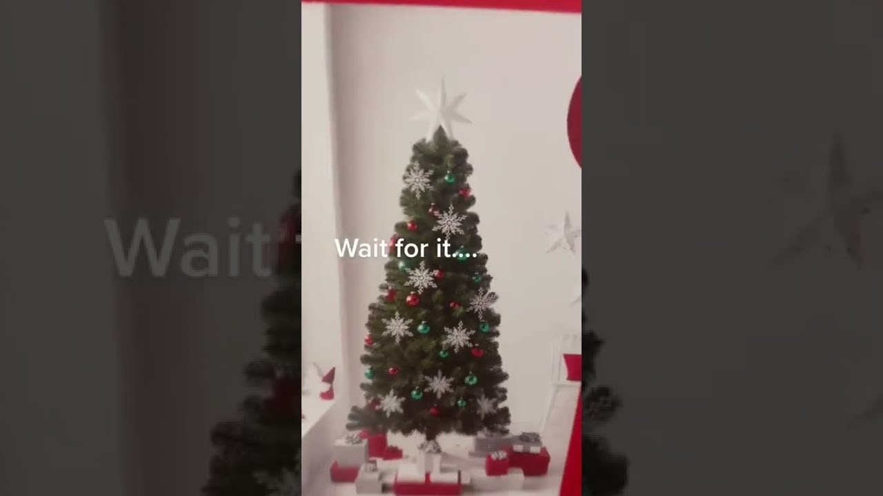 Expectation vs. Reality: Christmas Tree Edition || ViralHog
