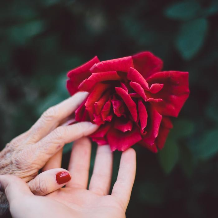 FOUR WAYS TO CARE FOR AN ELDERLY RELATIVE