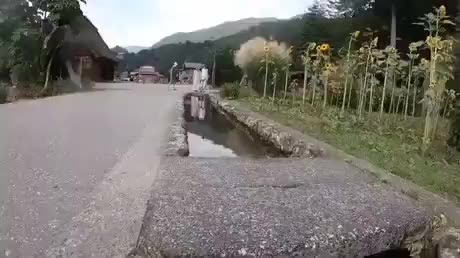 Dipping your phone into a street drain canal