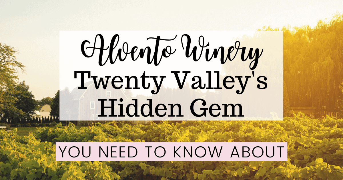 Alvento Winery: Twenty Valleys Hidden Gem