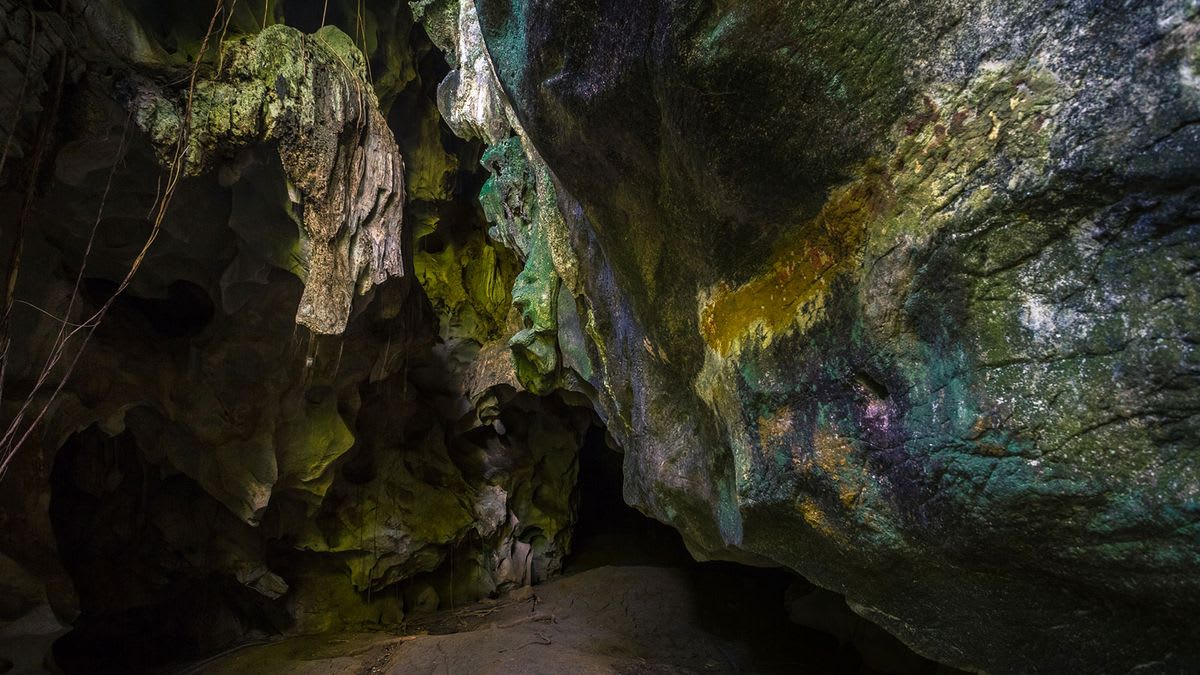 How Do You Survive Getting Lost in a Cave?