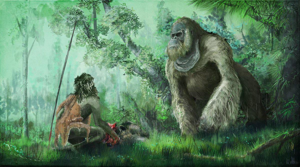 Our evolutionary cousins, the Denisovans - who could happily breed with us - lived alongside Gigantopithecus