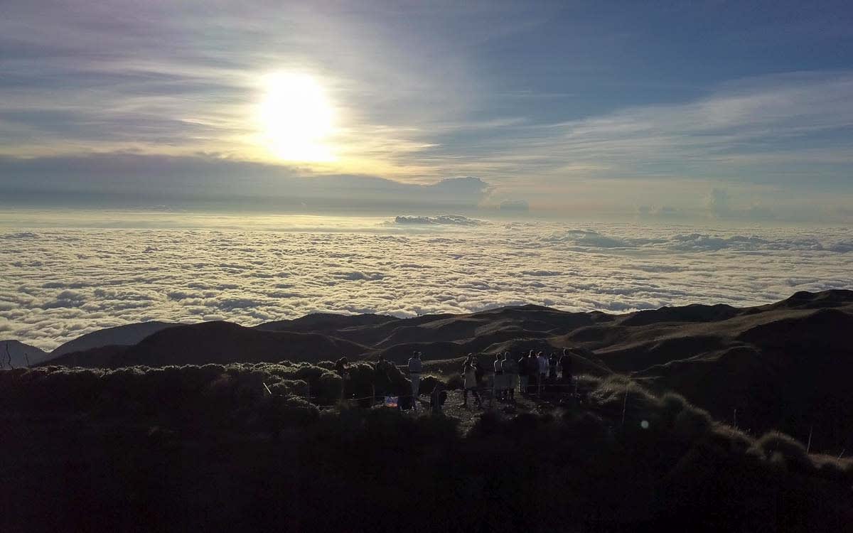 Mount Pulag: the playground of gods
