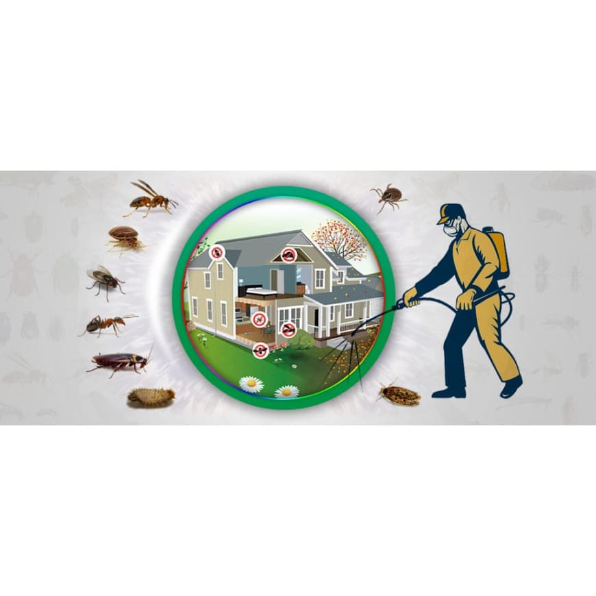 According to pest control experts, you must know common Pest problems and inspection service for Pest