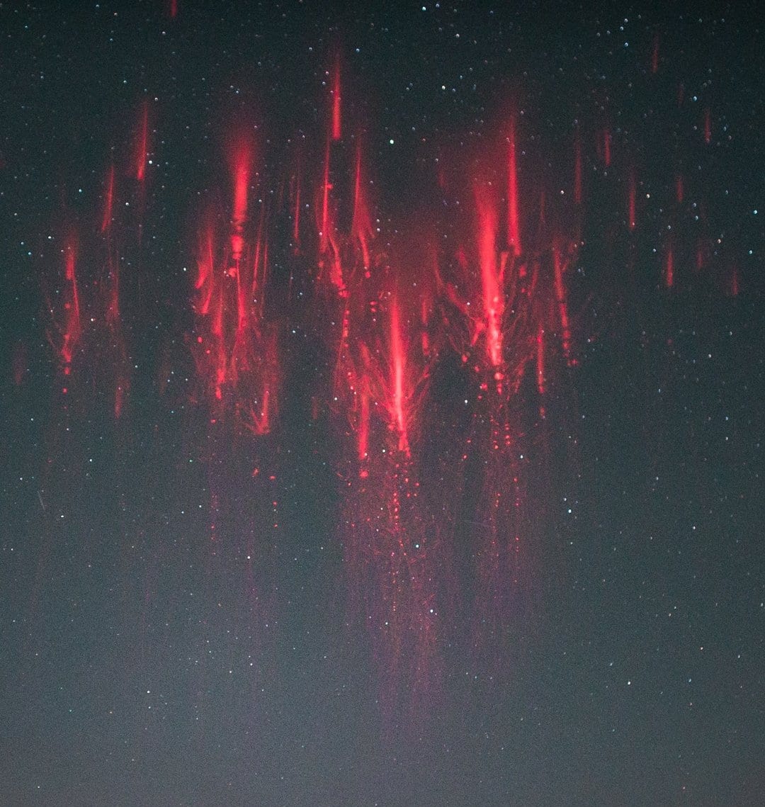 "Red Sprites" are large-scale electrical discharges that occur high above thunderstorm clouds, or cumulonimbus, giving rise to a quite varied range of visual shapes flickering in the night sky.