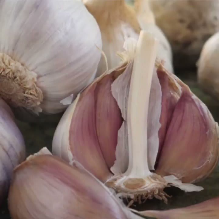 Delicious facts about garlic 🧄