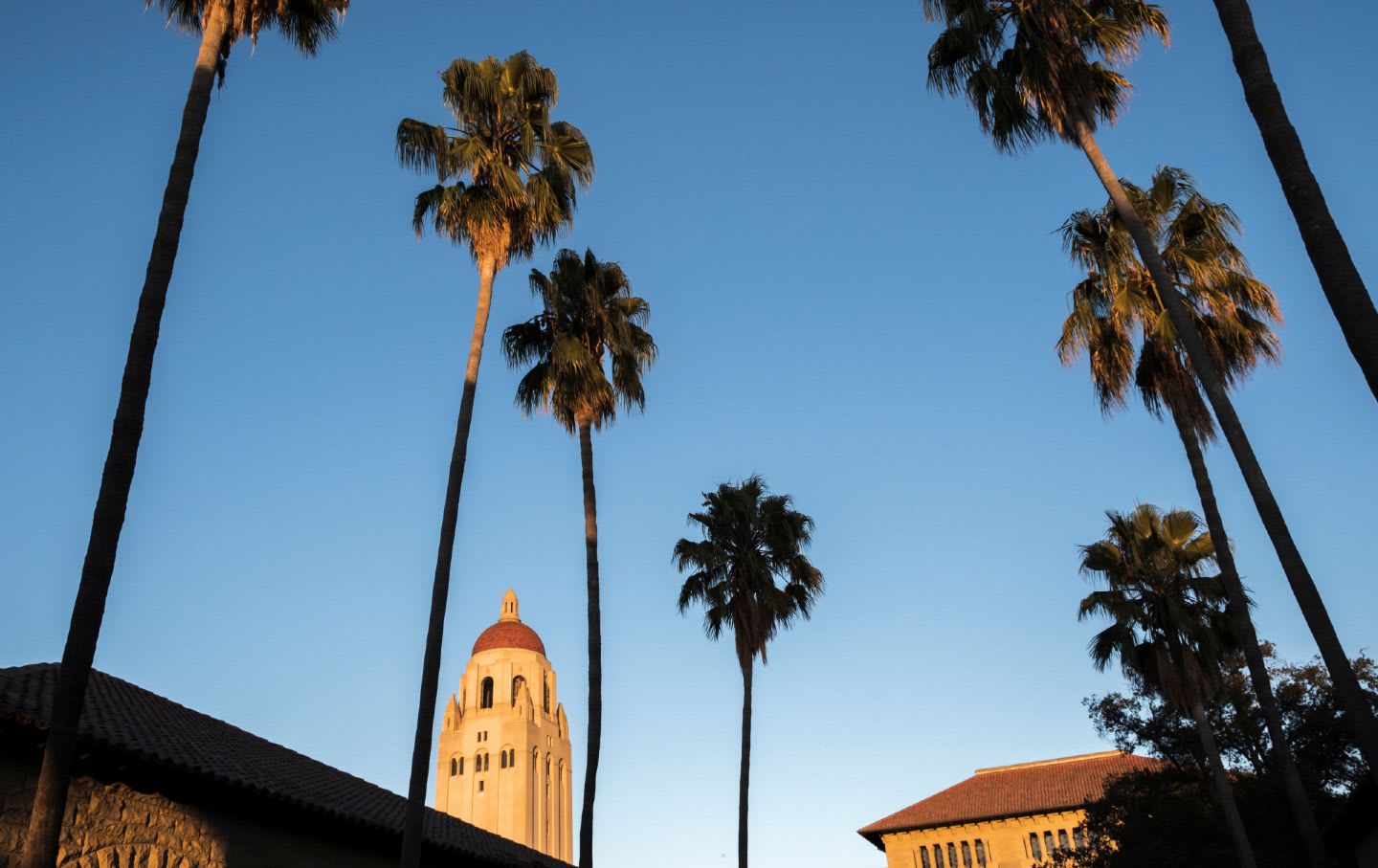 How Stanford Lost Its Soul