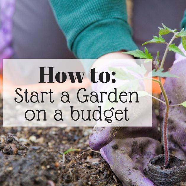 How to Start a Garden on a Budget - Eat, Drink, and Save Money