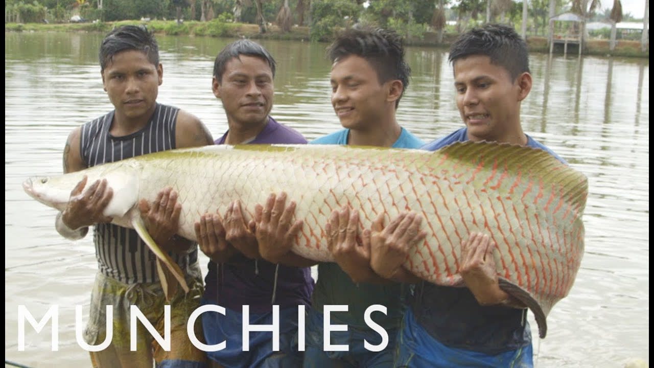 Amazonian Aphrodisiacs and 400-Pound Fish: Being Frank Peru (Part 2/2)