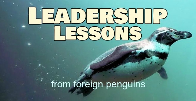 Leadership secrets from foreign penguins from Ohio