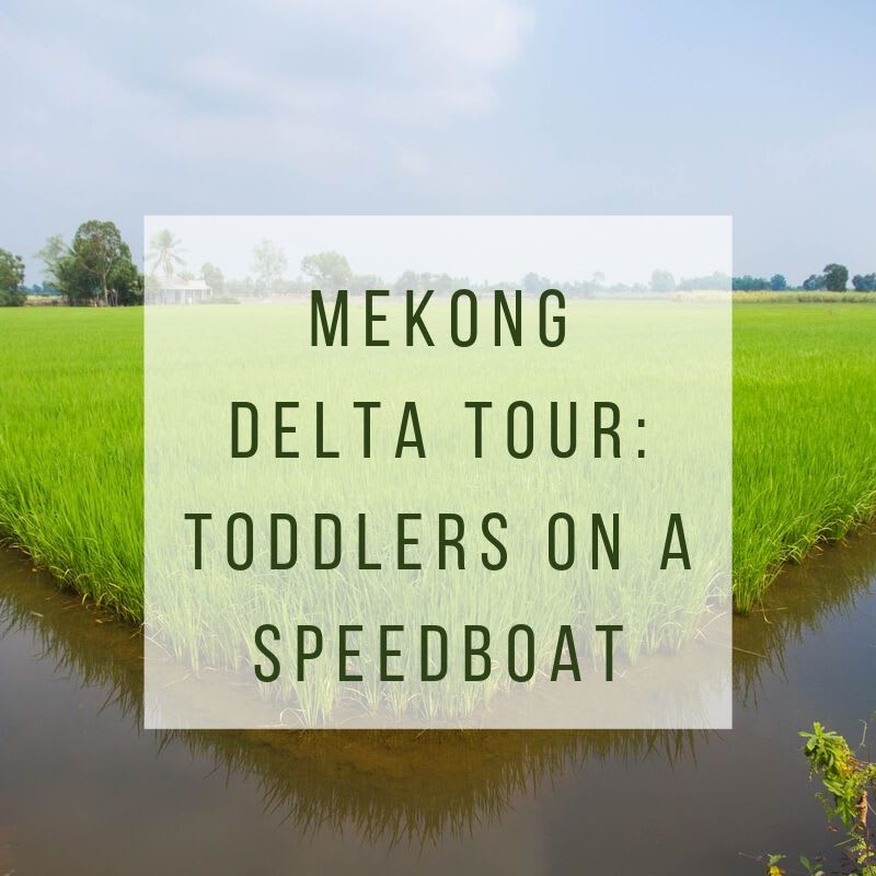 Mekong Delta Tour: Toddlers on a Speedboat